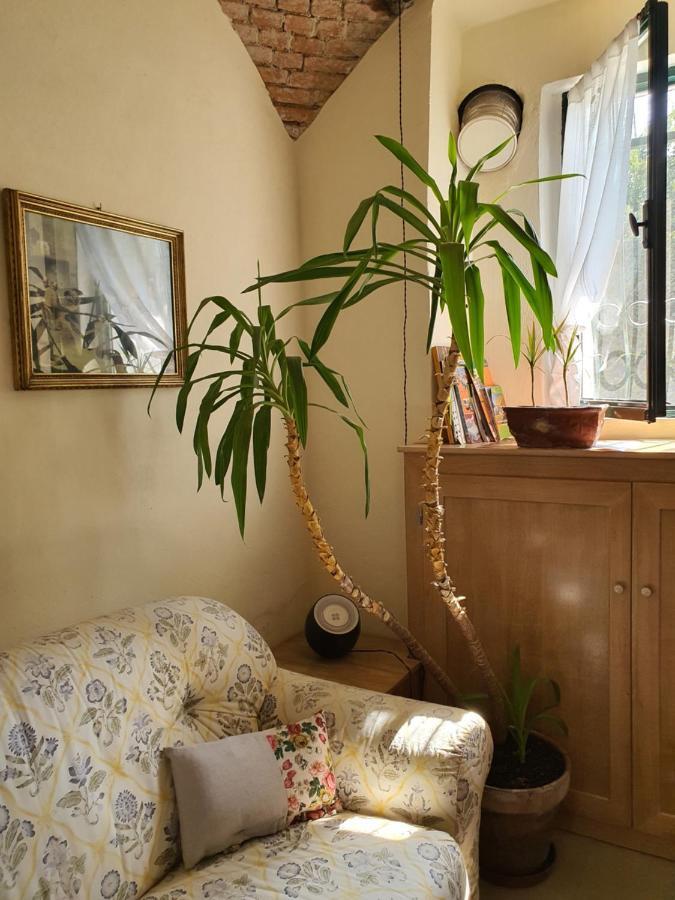 Bed and Breakfast Il Casolare Del Medio Olona Fagnano Olona Exterior foto
