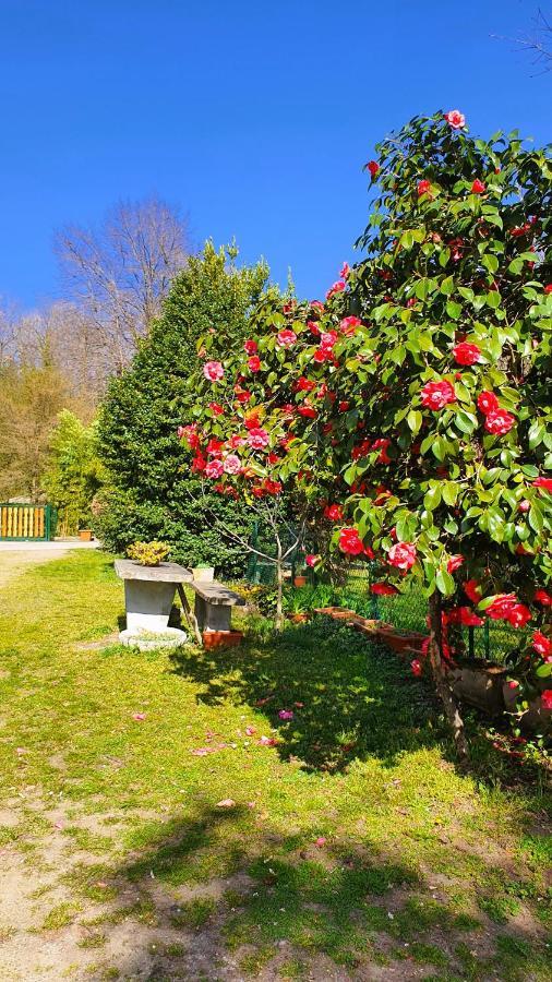 Bed and Breakfast Il Casolare Del Medio Olona Fagnano Olona Exterior foto